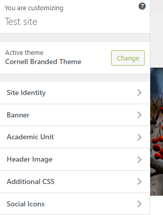 Customizer options